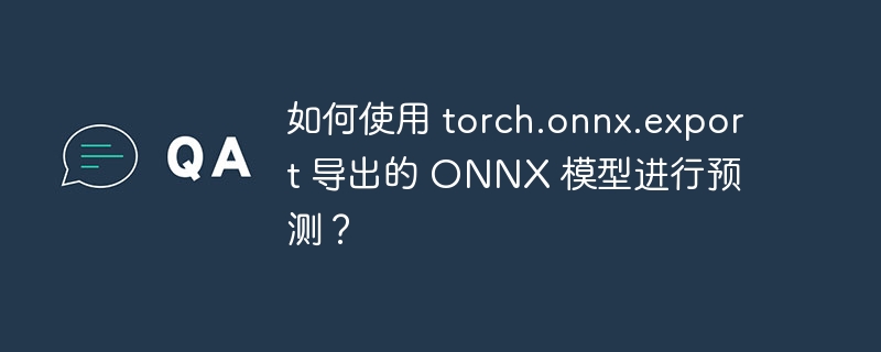 如何使用 torch.onnx.export 导出的 onnx 模型进行预测?