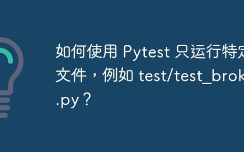 如何使用 Pytest 只运行特定文件，例如 test/test_broker.py？