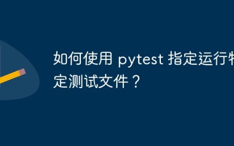 如何使用 pytest 指定运行特定测试文件？