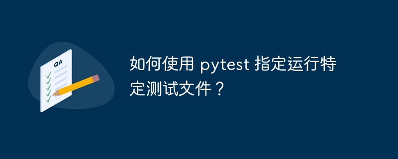 如何使用 pytest 指定运行特定测试文件?