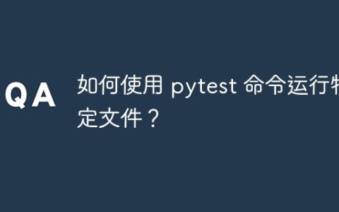 如何使用 pytest 命令运行特定文件？