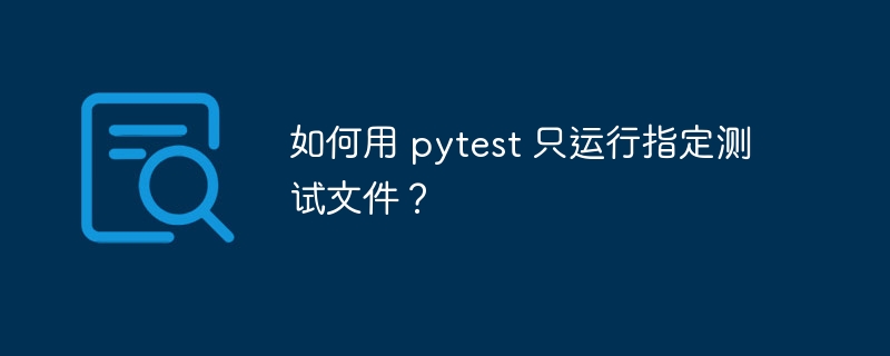 如何用 pytest 只运行指定测试文件?