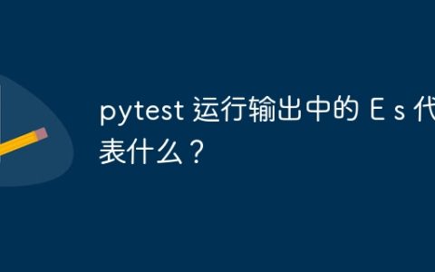 pytest 运行输出中的 E s 代表什么？