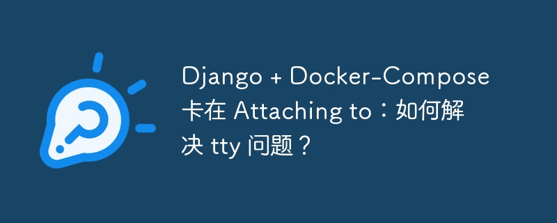 django + docker-compose 卡在 attaching to:如何解决 tty 问题?