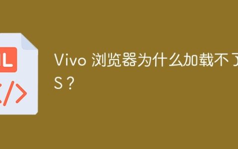 Vivo 浏览器为什么加载不了 JS？