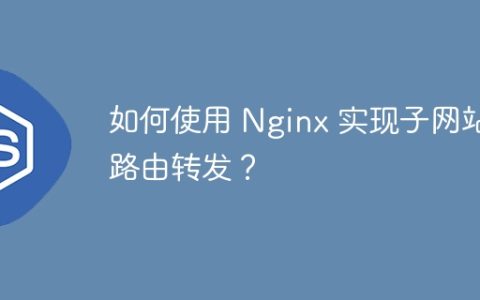 如何使用 Nginx 实现子网站路由转发？