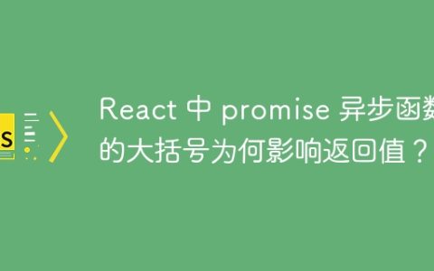 React 中 promise 异步函数的大括号为何影响返回值？