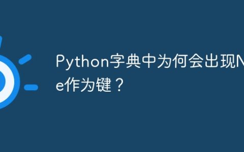 Python字典中为何会出现None作为键？