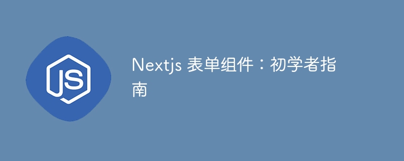 nextjs 表单组件:初学者指南