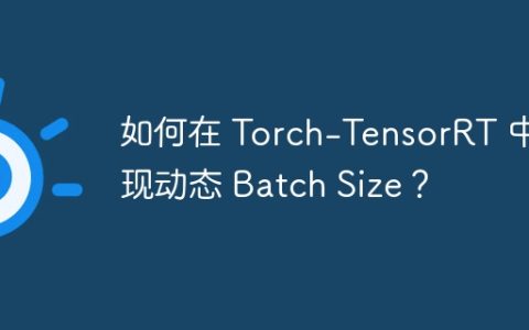 如何在 Torch-TensorRT 中实现动态 Batch Size？