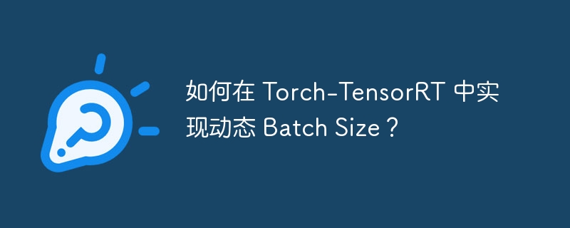 如何在 torch-tensorrt 中实现动态 batch size?