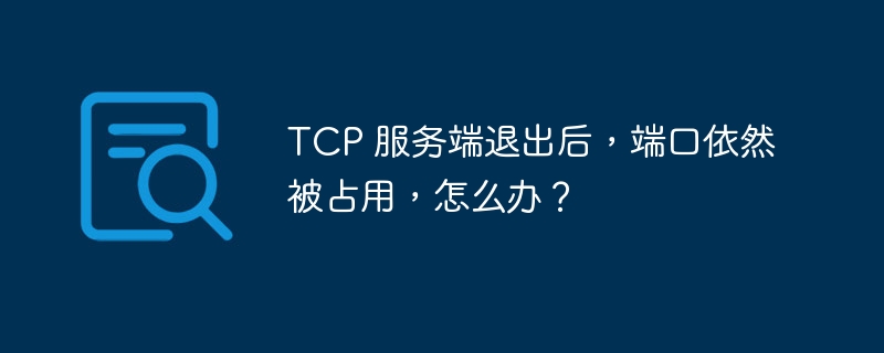 TCP 服务端退出后,端口依然被占用,怎么办?