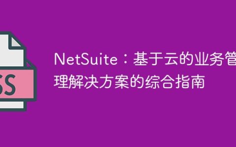NetSuite：基于云的业务管理解决方案的综合指南