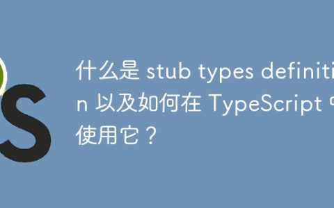 什么是 stub types definition 以及如何在 TypeScript 中使用它？
