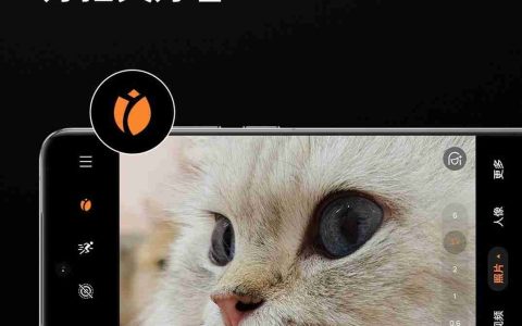 一加13获推ColorOS15.0.0.209升级：新增微距特写、与iOS双向互传实况照片等