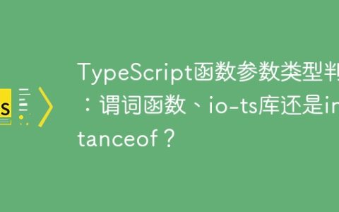 TypeScript函数参数类型判断：谓词函数、io-ts库还是instanceof？