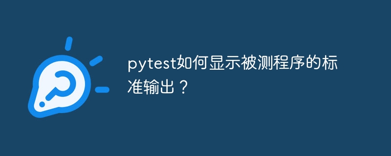pytest如何显示被测程序的标准输出?