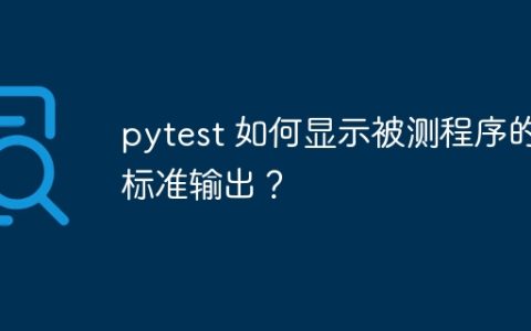 pytest 如何显示被测程序的标准输出？