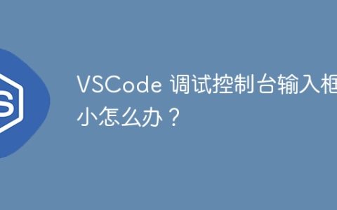 VSCode 调试控制台输入框太小怎么办？