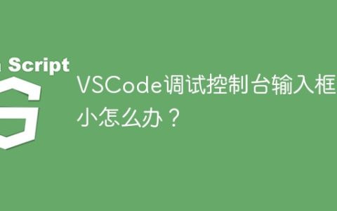 VSCode调试控制台输入框太小怎么办？