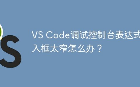 VS Code调试控制台表达式输入框太窄怎么办？