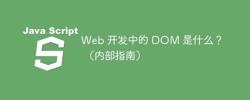 web 开发中的 dom 是什么? (内部指南)
