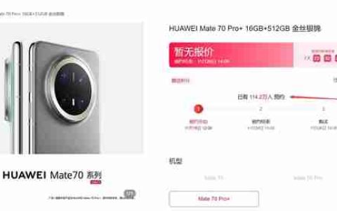 华为Mate 70一小时预订量已破百万：门店出现排队长龙
