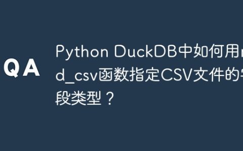 Python DuckDB中如何用read_csv函数指定CSV文件的字段类型？