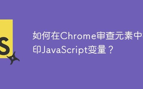 如何在Chrome审查元素中打印JavaScript变量？