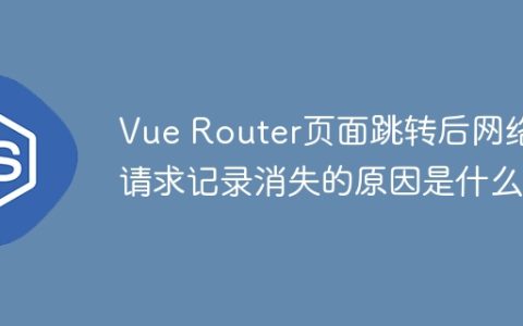 Vue Router页面跳转后网络请求记录消失的原因是什么
