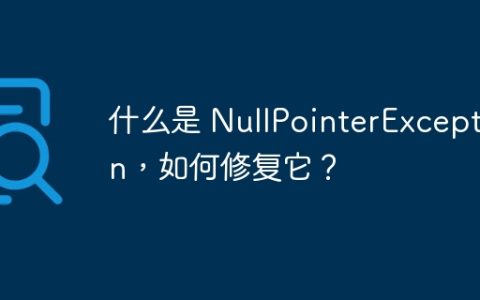 什么是 NullPointerException，如何修复它？