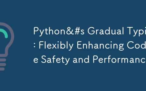 Python&#s Gradual Typing: Flexibly Enhancing Code Safety and Performance