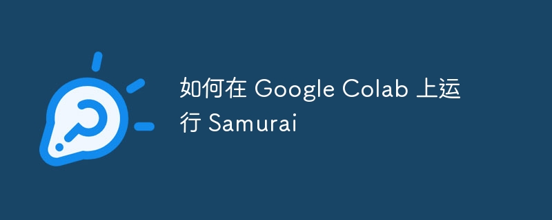 如何在 google colab 上运行 samurai
