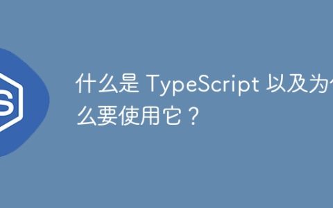 什么是 TypeScript 以及为什么要使用它？