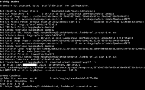 只需几步即可将拥抱脸部模型部署到 AWS Lambda