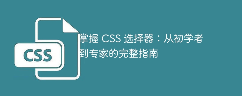 掌握 CSS 选择器:从初学者到专家的完整指南