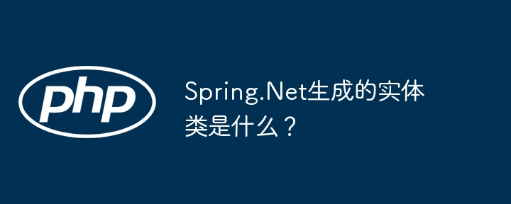 spring.net生成的实体类是什么?