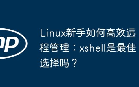 Linux新手如何高效远程管理：xshell是最佳选择吗？
