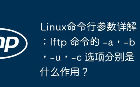 Linux命令行参数详解：lftp 命令的 -a，-b，-u，-c 选项分别是什么作用？