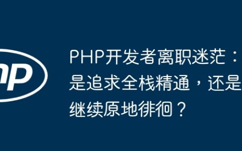 PHP开发者离职迷茫：是追求全栈精通，还是继续原地徘徊？