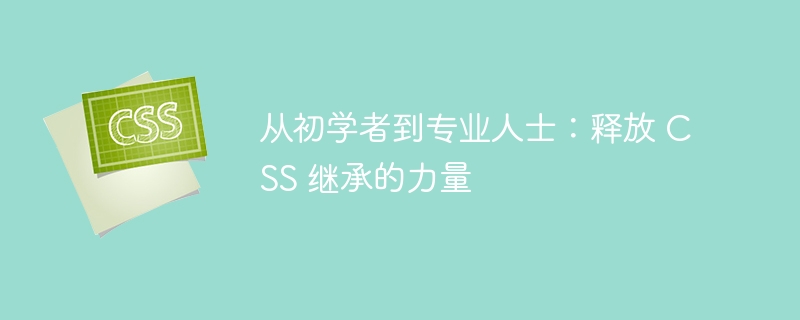 从初学者到专业人士：释放 css 继承的力量