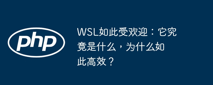 wsl如此受欢迎:它究竟是什么,为什么如此高效?