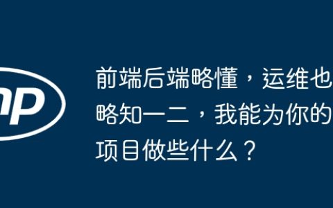 前端后端略懂，运维也略知一二，我能为你的项目做些什么？
