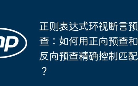 正则表达式环视断言预查：如何用正向预查和反向预查精确控制匹配？