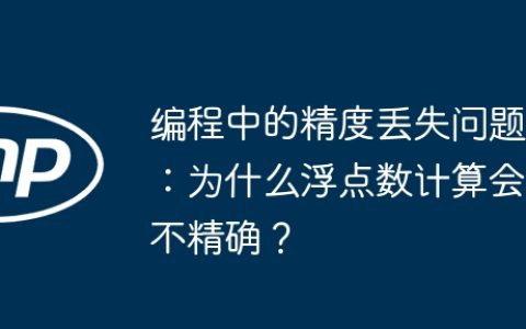 编程中的精度丢失问题：为什么浮点数计算会不精确？