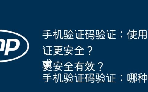 手机验证码验证：使用验证码ID还是直接验证更安全？
或
手机验证码验证：哪种方式更安全有效？