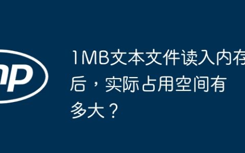 1MB文本文件读入内存后，实际占用空间有多大？