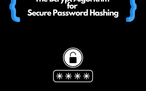 用于安全密码哈希的 Bcrypt 算法
