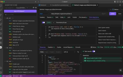 再见 Postman 和 Thunder 客户端：探索 VS Code 的 EchoAPI