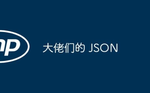 大佬们的 JSON